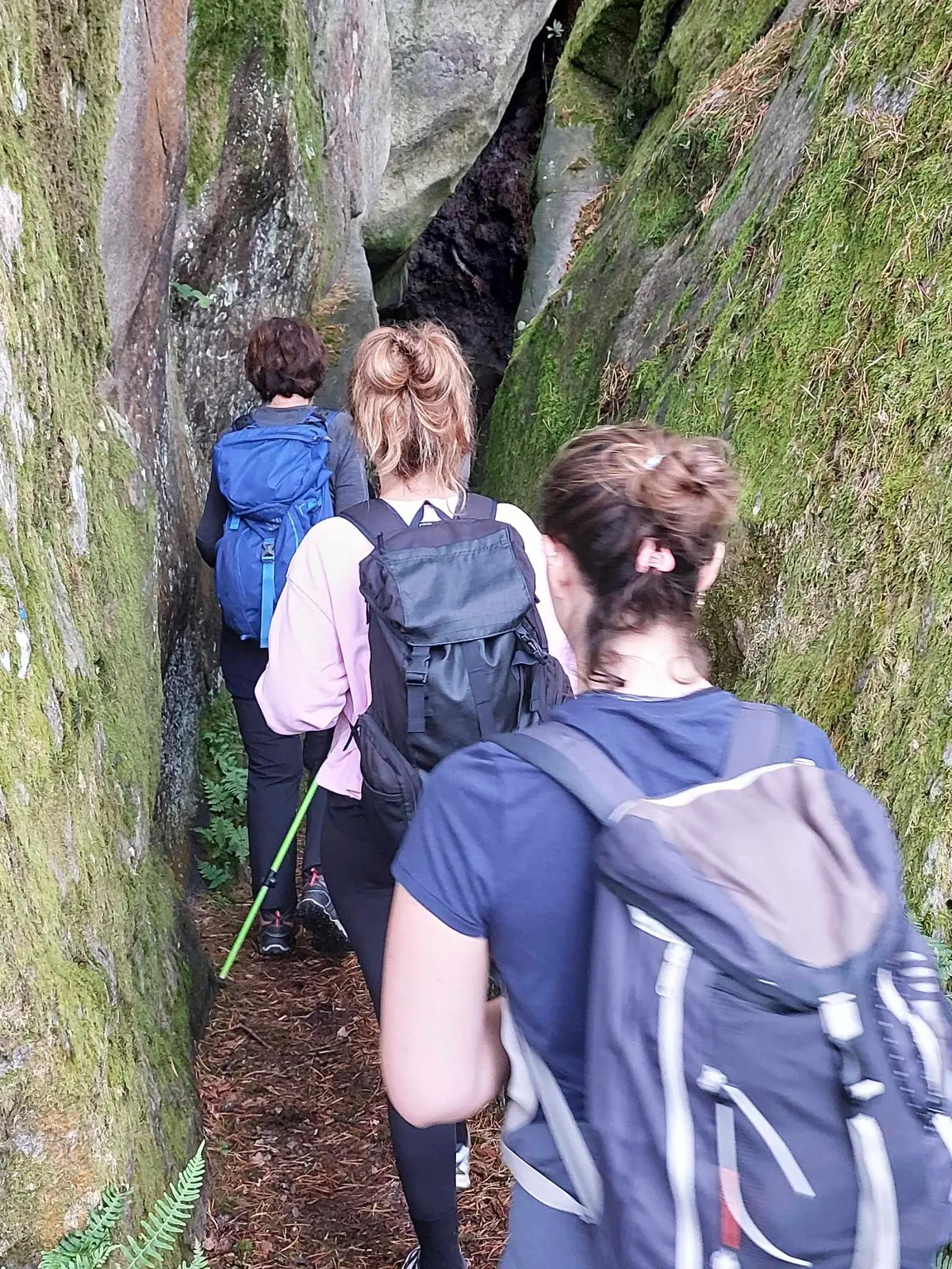 Randonnee En Foret De Fontainebleau - Les Gorges De Franchard