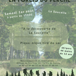 Randonnée en Forêts du Perche