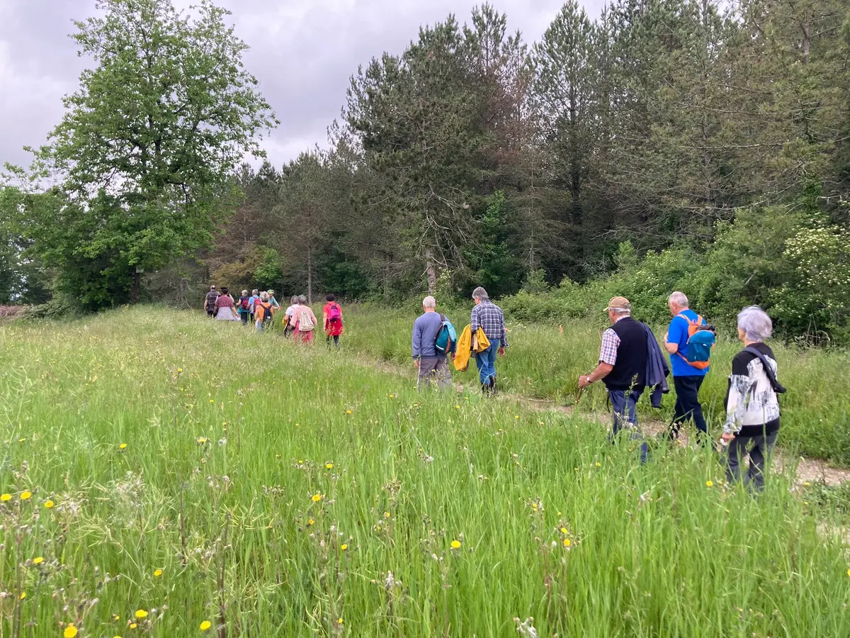 Randonnée en immersion dans les milieux humides