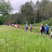 Randonnée en immersion dans les milieux humides