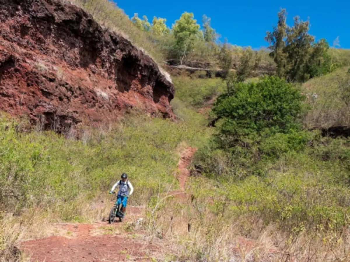 Randonnée en Trottinette électrique à Etang Salé (974)