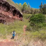 Randonnée en Trottinette électrique à Etang Salé (974)