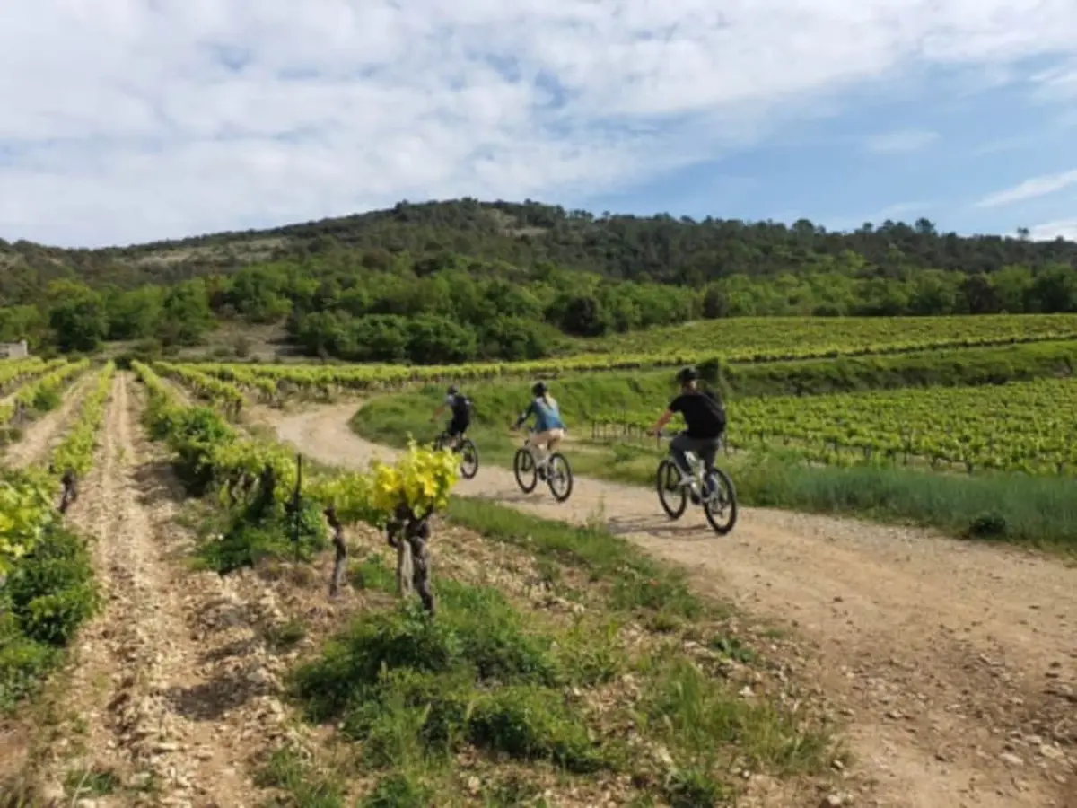 Randonnée en vélo électrique et dégustation à Vallon-Pont-d'Arc