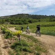 Randonnée en vélo électrique et dégustation à Vallon-Pont-d'Arc
