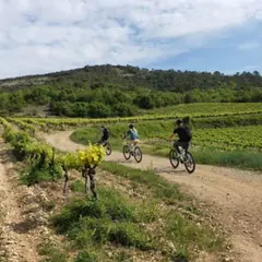 Randonnée en vélo électrique et dégustation à Vallon-Pont-d'Arc