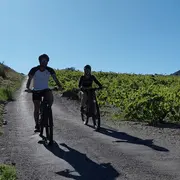 Randonnée En Vtt électrique Sur Les Hauteurs De Collioure