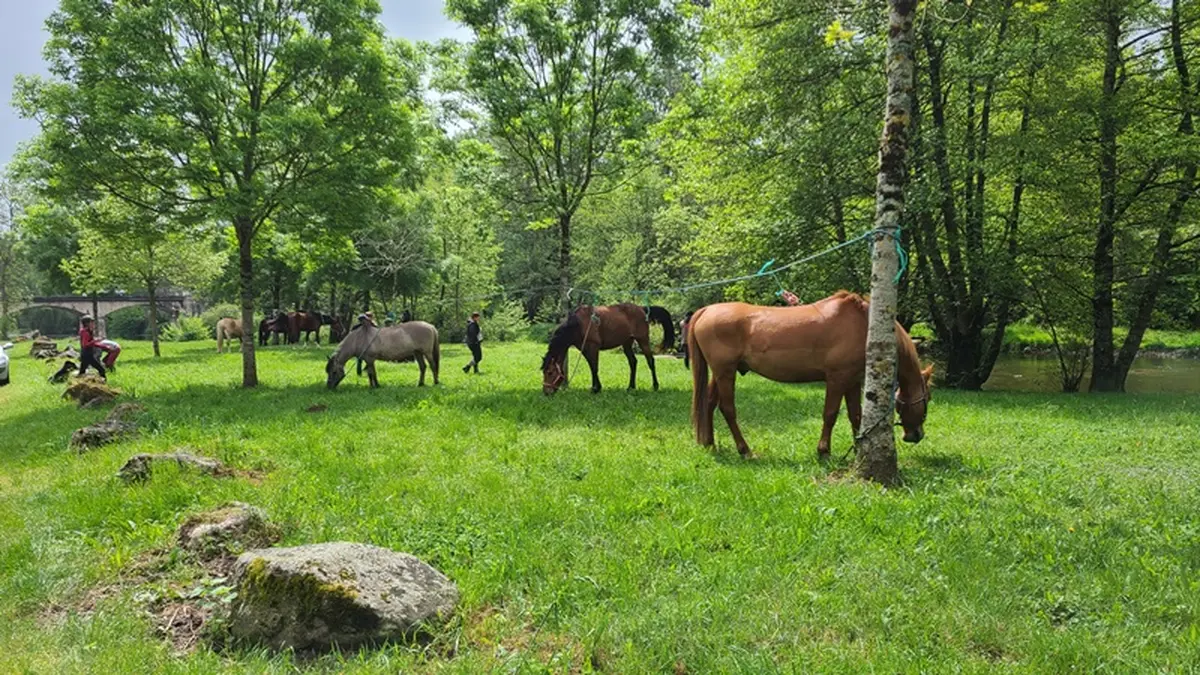 Randonnée équestre