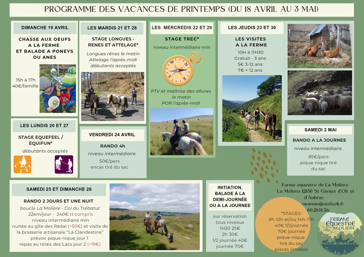 Randonnée équestre