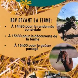 Randonnée et visite conviviale avec le Foyer de la Route du Sel