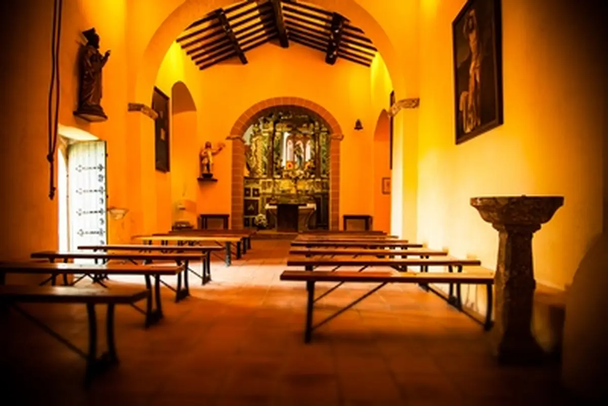 Randonnee Flore Des Alberes