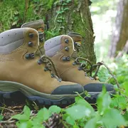 Randonnée gourmande