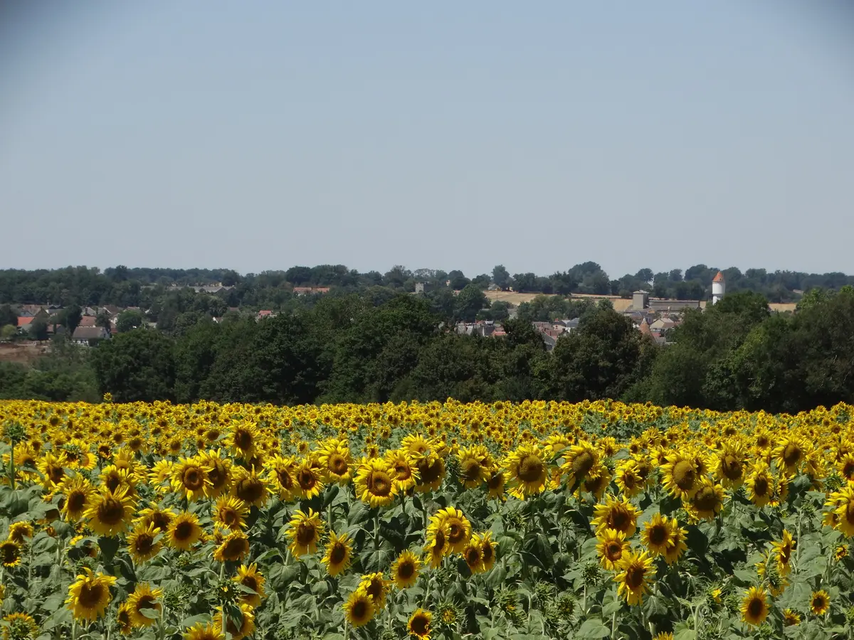Randonnée gourmande à Culan