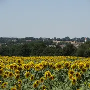 Randonnée gourmande à Culan