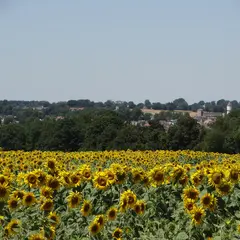 Randonnée gourmande à Culan
