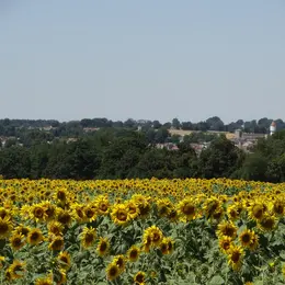Randonnée gourmande à Culan
