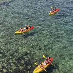 Randonnée guidée en kayak en demi-journée à Marseille (13)