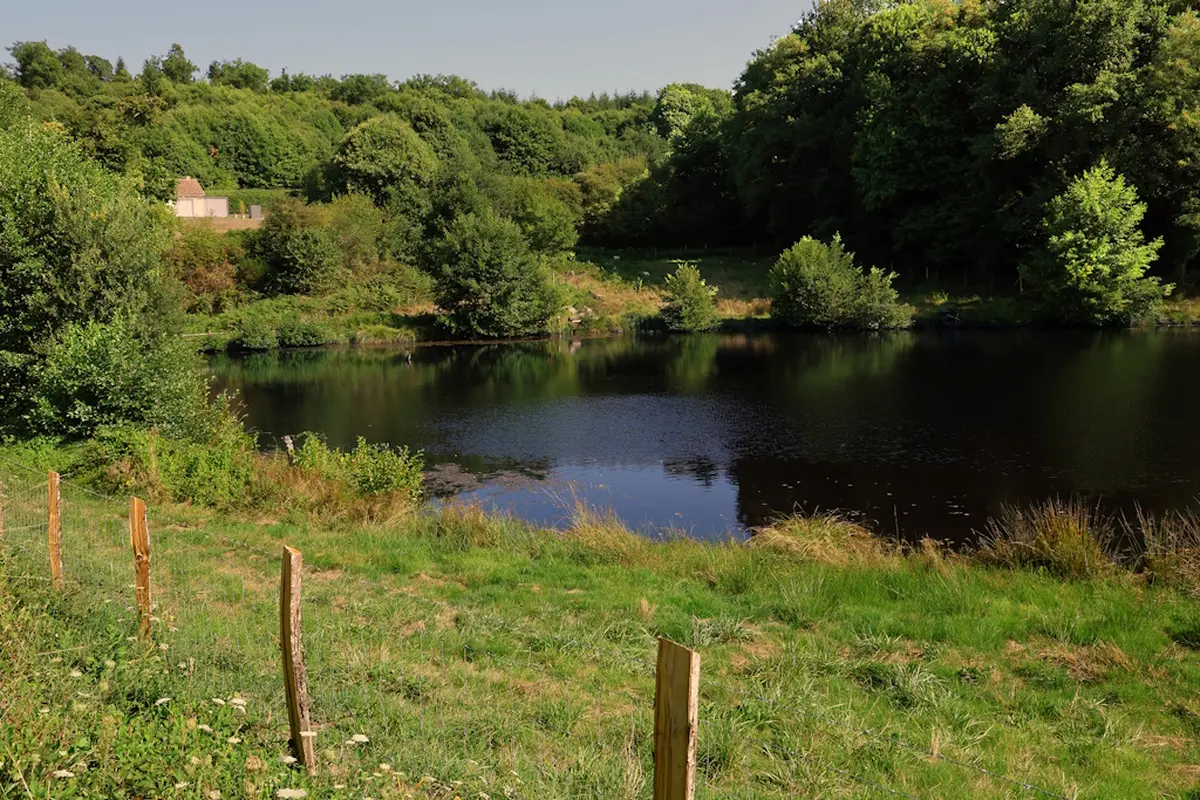 Randonnée guidée - La boucle des chemins creux