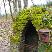 Randonnée guidée : Sur la trace des fontaines guérisseuses