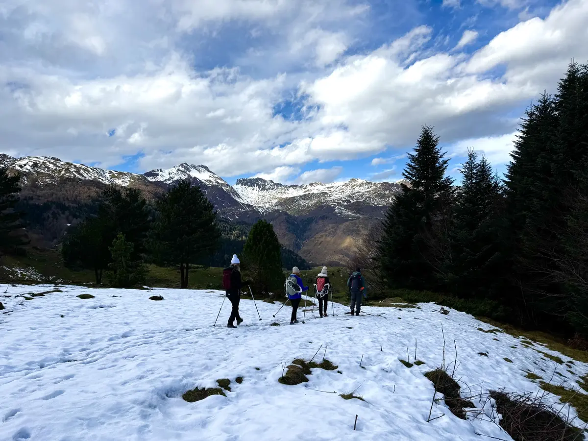 Randonnée hivernale sur les traces de la faune sauvage