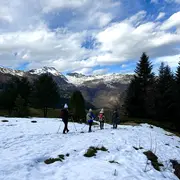 Randonnée hivernale sur les traces de la faune sauvage