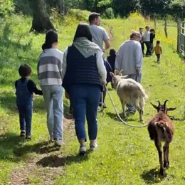 Roanne : notre sélection de sorties du week-end du 14 au 16 août 2026, spécial Assomption