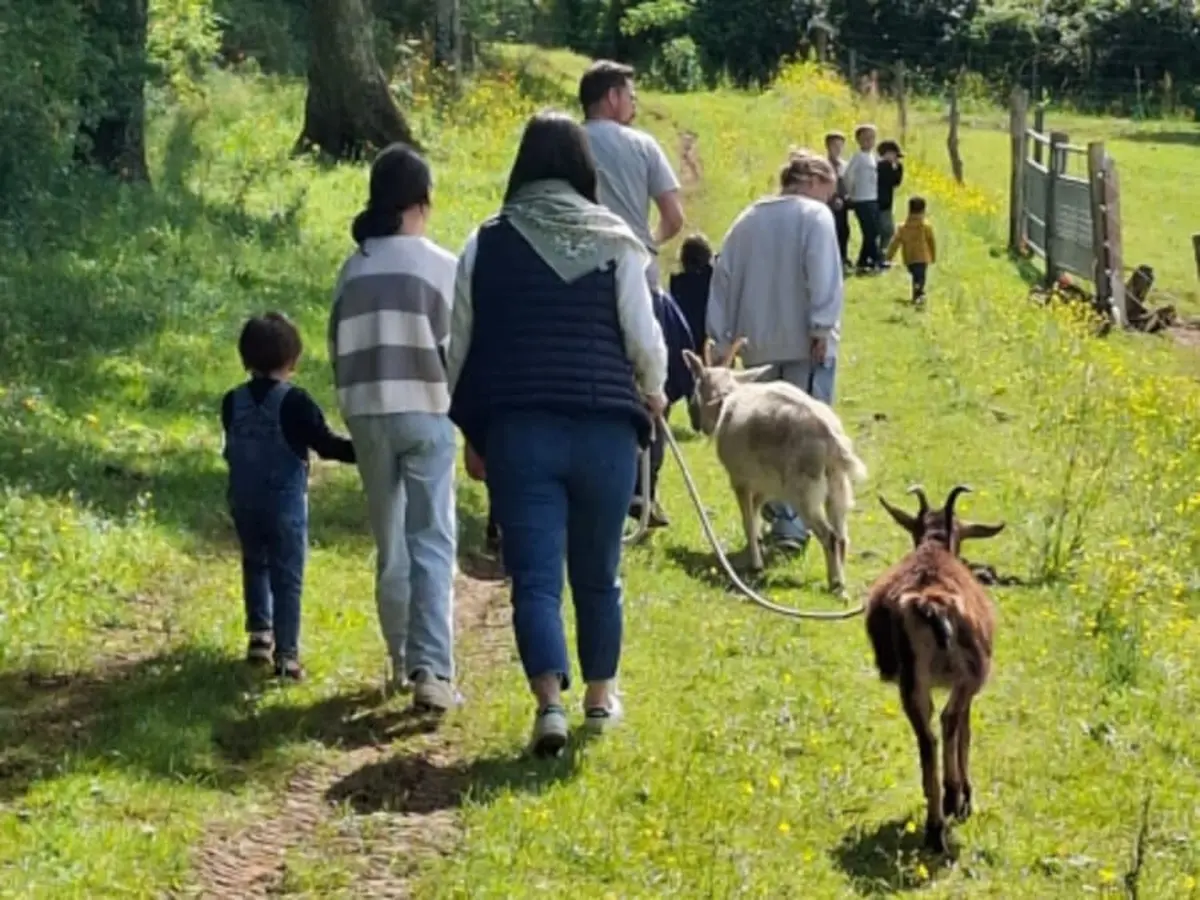 Randonnée immersive avec les animaux à St-Denis (42)