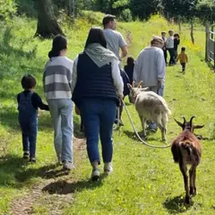 Randonnée immersive avec les animaux à St-Denis (42)