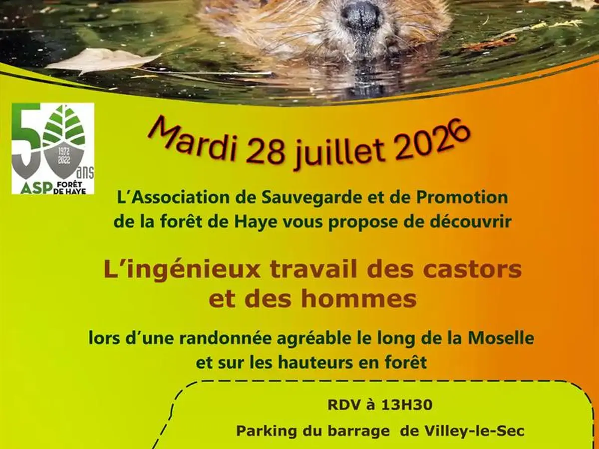 Randonnée L'ingénieux travail des castors et des hommes