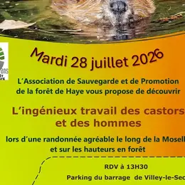 Randonnée L'ingénieux travail des castors et des hommes