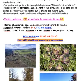 Randonnée - La tourbière de Prénovel et le belvédère sur le Fort
