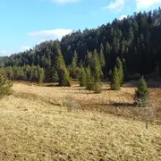 Randonnée - La tourbière de Prénovel et le belvédère sur le Fort