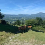 Randonnée Le tour d'Errebi et sa vue à 360°