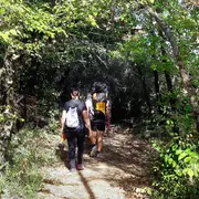 Randonnee Nature Speciale Plantes Sauvages