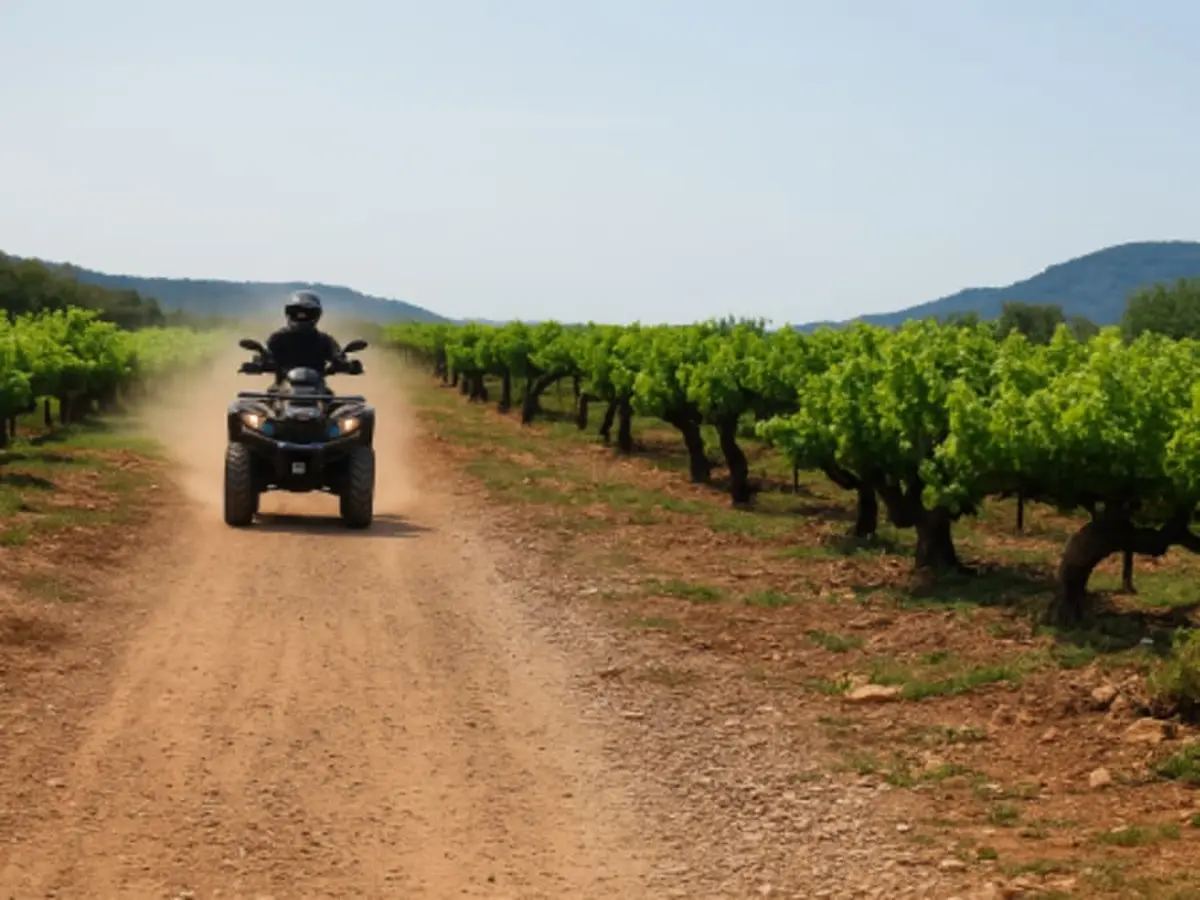 Randonnée oenotouristique en quad près de Montpellier