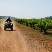 Randonnée oenotouristique en quad près de Montpellier
