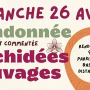 Randonnée Orchidées Sauvages