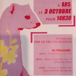 Randonnée participative