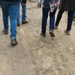 Randonnée pédestre