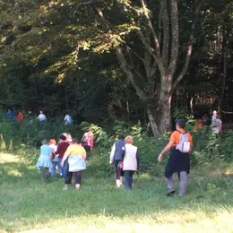 Randonnée pédestre