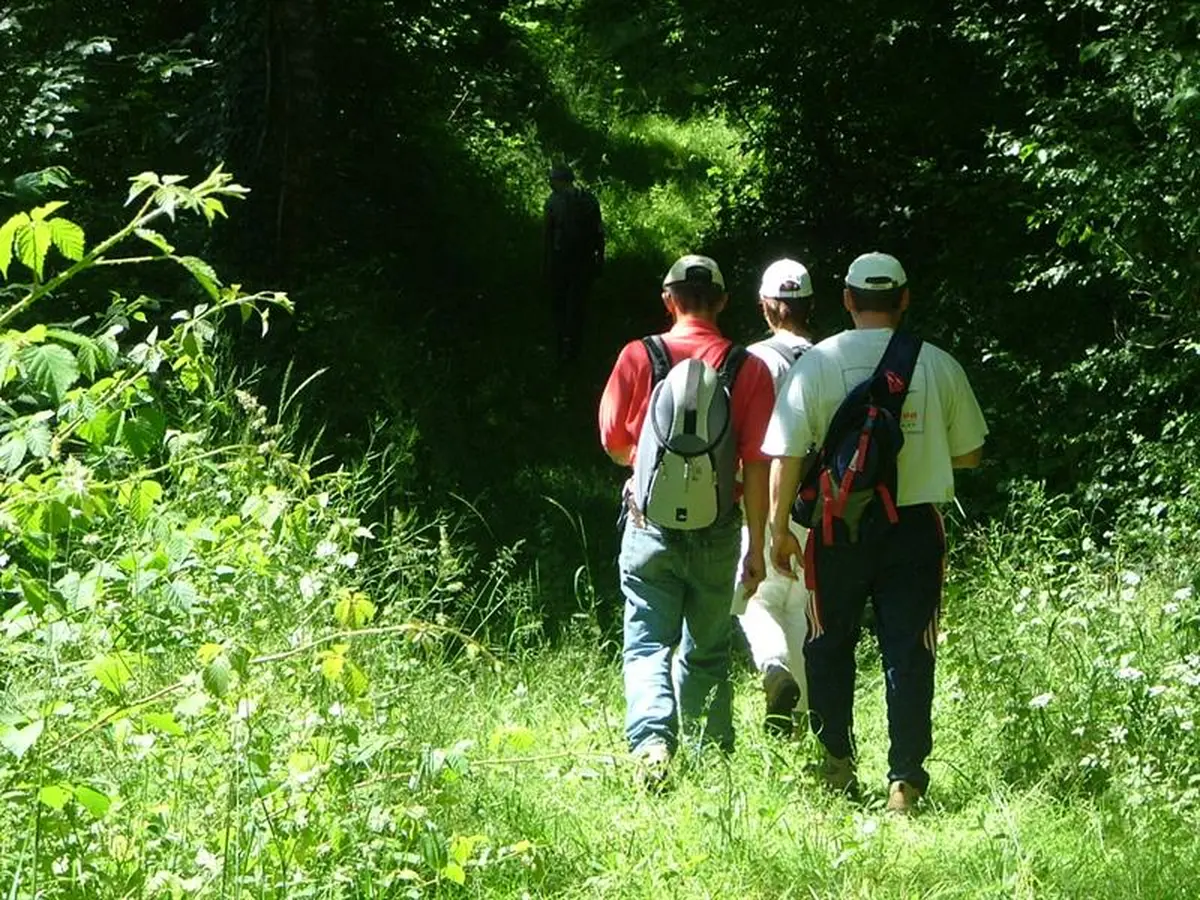 Randonnée pédestre