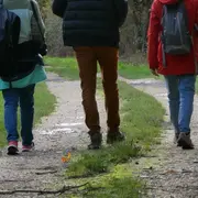 Randonnée pédestre