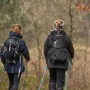 Randonnée pédestre