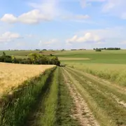 Randonnée pédestre