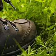 Randonnée pédestre