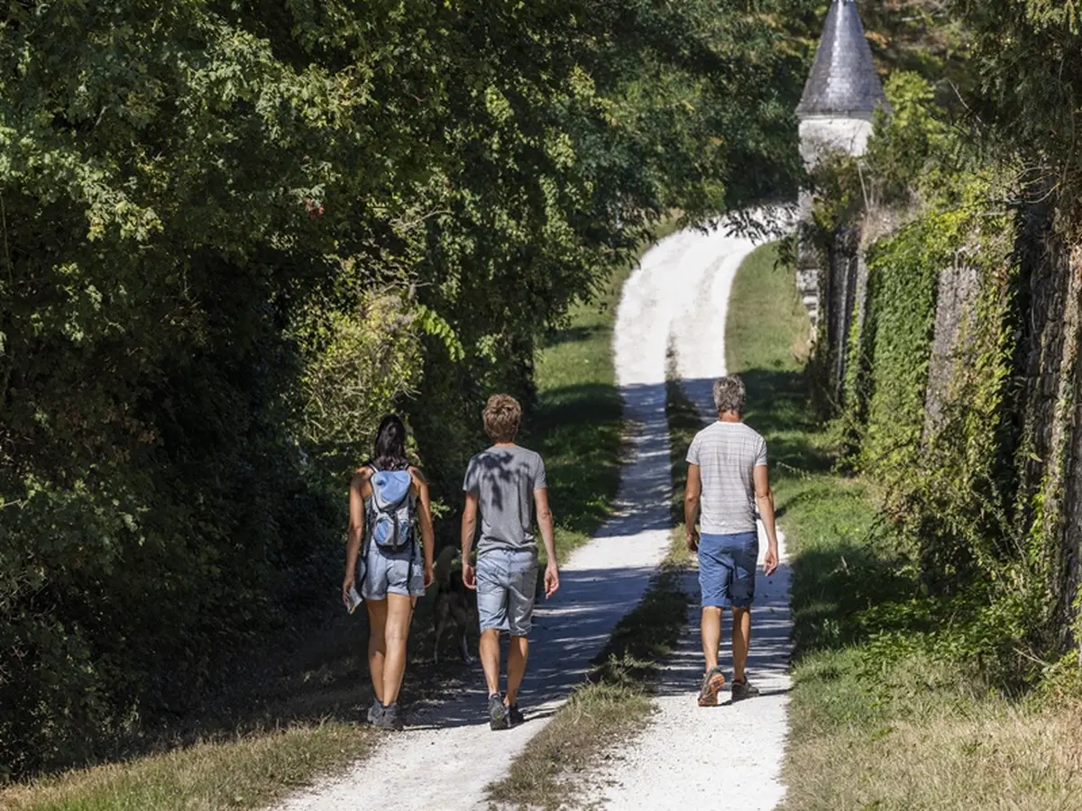 Randonnée pédestre