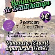 Randonnée pédestre