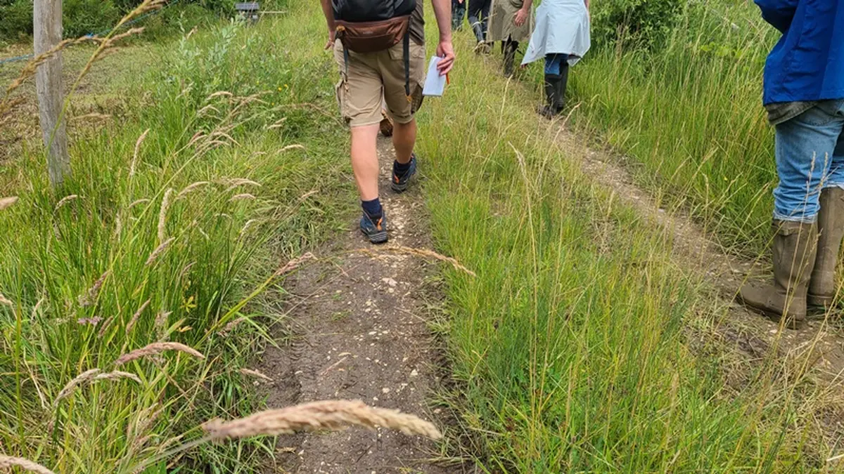 Randonnée pédestre