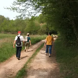 randonnée pédestre