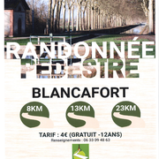 Randonnée pédestre