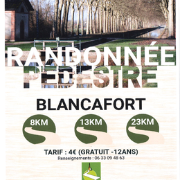 Randonnée pédestre